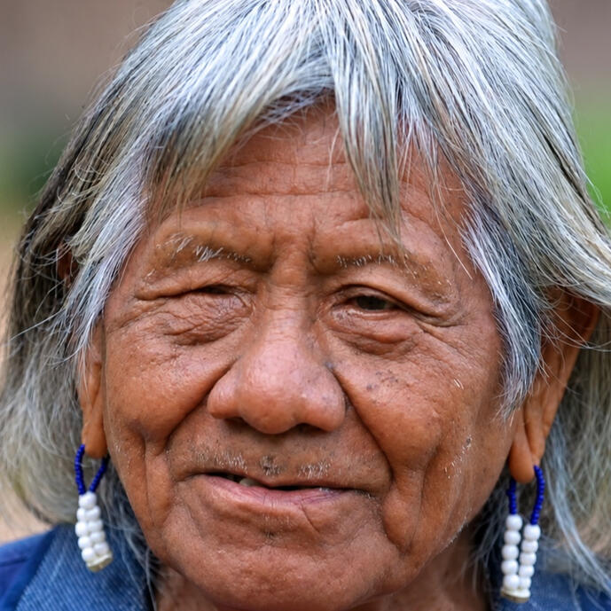 Encontro entre as tradições espirituais dos povos Ashâninka e Kayapó, em uma troca de saberes sobre cultura, ancestralidade e diferentes formas de compreender o mundo. Créditos: Roteiro • Edição